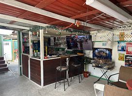 Turtle Bottom Bar