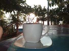 Koli Kafe & Resto