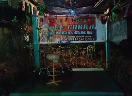 Lee cobra karaoke