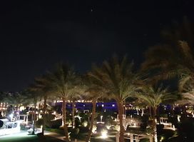 The View Bar