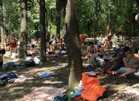 Zona de odihnă/picnic