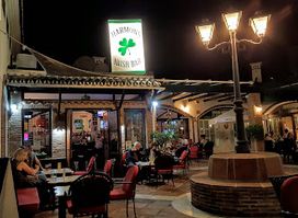 Harmons Bar Elviria