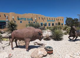 Cactus Cafe