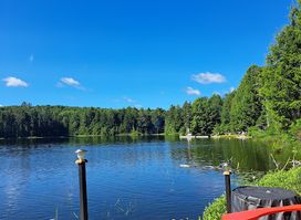 Haliburton Forest & Wild Life Reserve Ltd