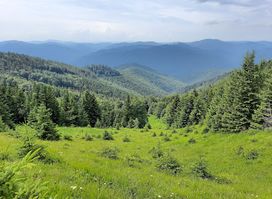 Skole Beskids