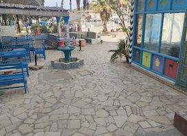 café zmen