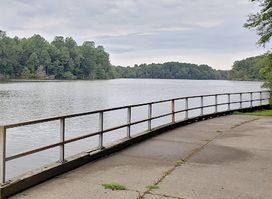 Lums Pond