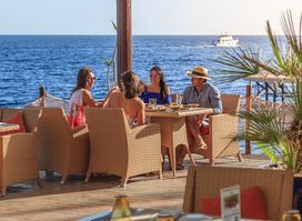 Palms Bar & Grill