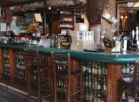 The Black Turtle