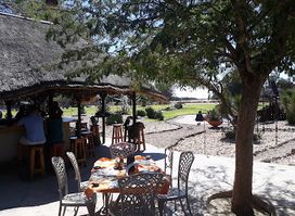Harnas Chalet
