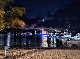 The Bight
