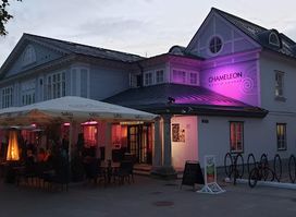 Kohvik-lounge Chameleon