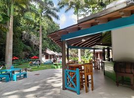 Green Monkey Bar & Grill