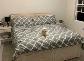 R.Y Wooden Finishes inc