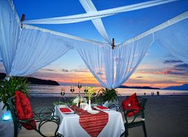 Tropical Beach Bar