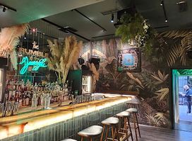 THE BAR IN FRONT OF THE BAR