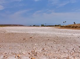 Salinas de Curral Velho