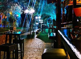 Jungle Paradise