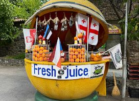 Fresh Juices - Georgian traditional alcohol (Wine, Chacha, Cognac)