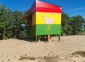 Copetin Isla Bonita