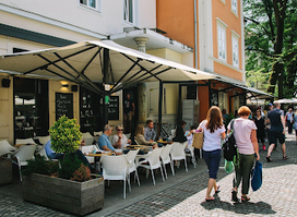 Nabrežje 15