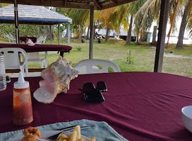Palm Beach Restaurant & Bar
