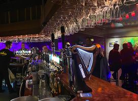 The Old Irish Pub
