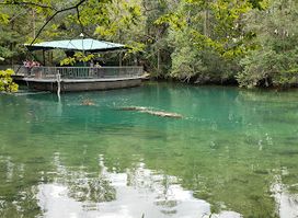 Ellie Schiller Homosassa Springs Wildlife State Park West Entrance