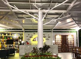 Tree Bar Lounge Misiliana