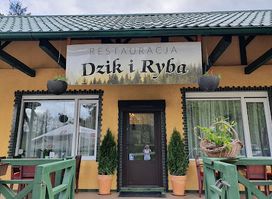 Restauracja DZIK I RYBA