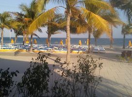 Harvest Caye Bar & Grill