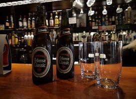 Vitus Berings Pub