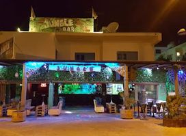 Jungle Bar