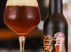 Brasserie des Brenets