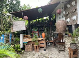 Green 509 bar