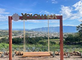 Experiencia Xolohaka SkyView