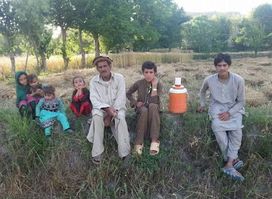دحاجی باکول کور