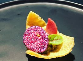 Ushake - Cocktails&Food Catering