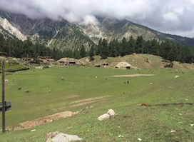 Shangrila Fairy Meadow Resort