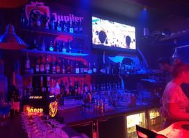 Swan Bar