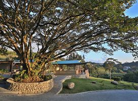 Restaurante El Sapo at Senda Monteverde