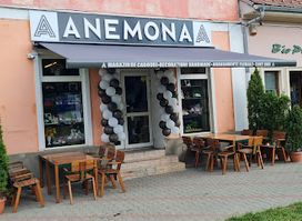 ANEMONA