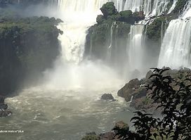 Jungle Restaurante - Puerto Iguazú