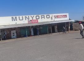 Mako Nights Sports Bar