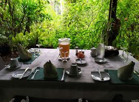Daintree Teahouse Restaurant
