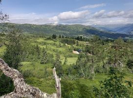 Lerheimsstølen