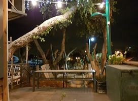 Herzl Cafe Bar Restaurant