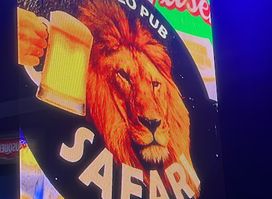 Safari Video Pub