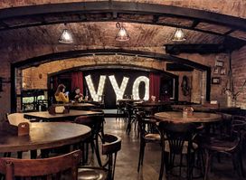 Vyo