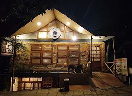 Backyard Cafe- Best Cafe in Manali